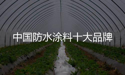 中国防水(2)不宜在雨雪天施工