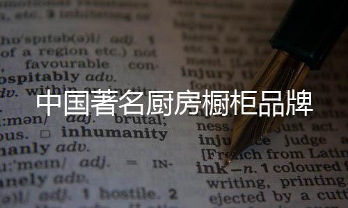 保证业主厨房的中国著名清洁