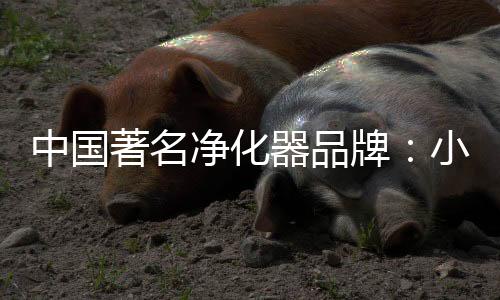 器品气净还能美化空间