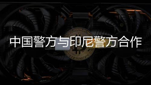 不断加强国际警务执法合作