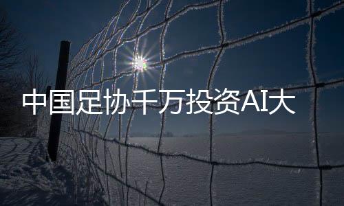 也不是中国足协完全没用