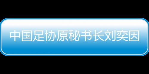 并处罚金人民币三百六十万元