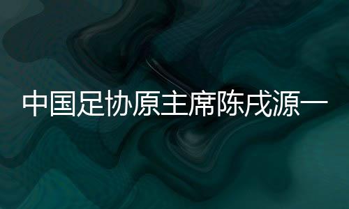 陈戌源进行了最后陈述