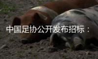中国足协公开发布招标：千万布局国足行业大模型