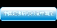 中国足协招标打造中国足球行业大模型，投标限价1068万元