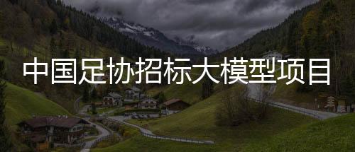 中国足协干了这件事