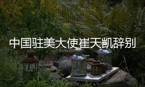 大使将于近日离任回国