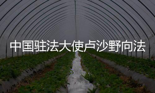 中国驻法转交av18