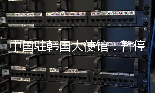 中国驻韩暂停就医、国大公民