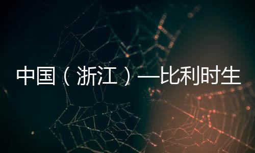 本次大会与主题馆结合