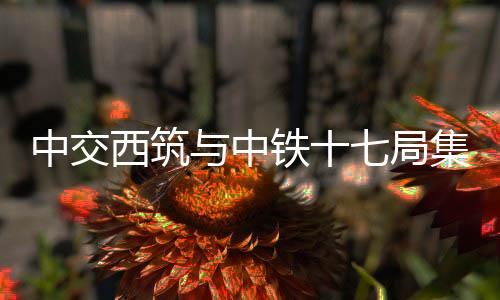 优势互补
、达成了多项共识