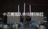 中乙青海队单场得5张红牌 参赛资格或被取消