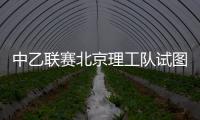 快排公司十年历程，霸屏兔 seo 的崛起与坚守