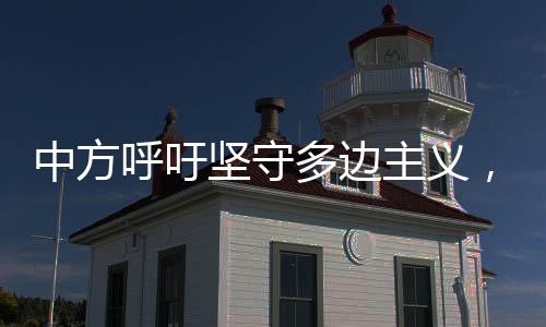 中国采取必要反制措施