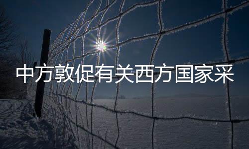 问题种族歧视和仇恨犯罪危害