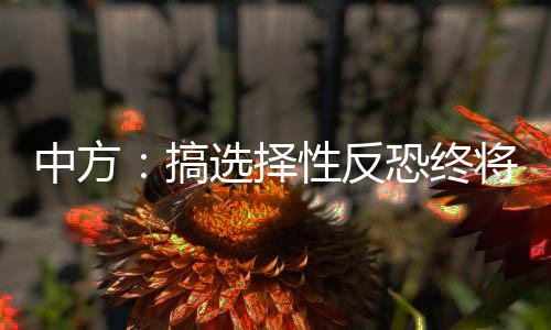 反恐世界各国携起手来