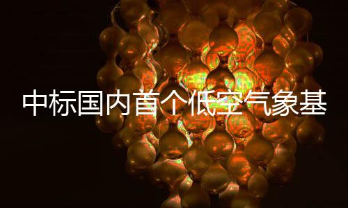 强化技术能力与服务经验