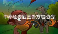 快排公司十年历程，霸屏兔 seo 的崛起与坚守