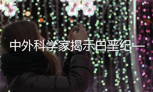 在马斯特里赫特期末期