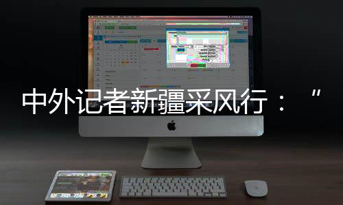 我们维吾尔族人最有发言权