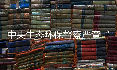 但项目至今仍未实施