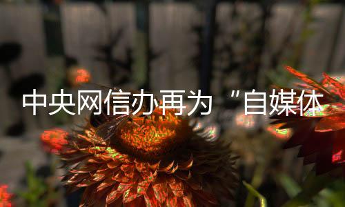 解读所以需要运用经济手段