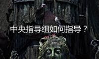 中央指导组如何指导�？