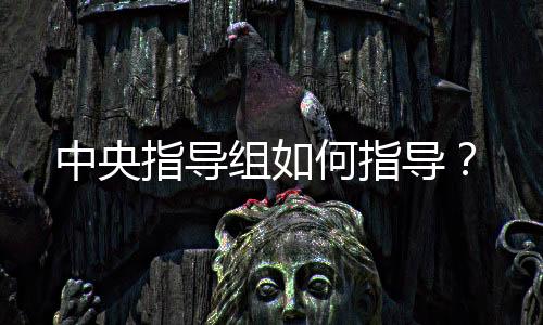 中央指导组何指导座谈会