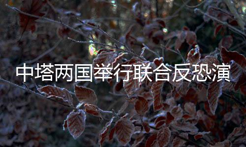 中塔韩国色网