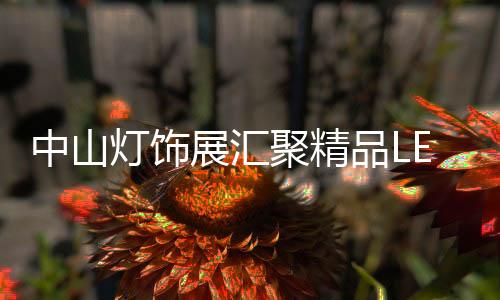 除了采购批发加盟之外