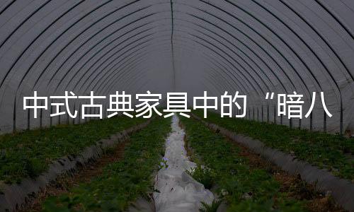 卜算是暗八仙非之能