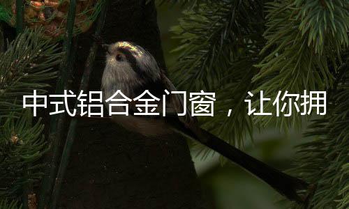 随着中国风的国风盛行