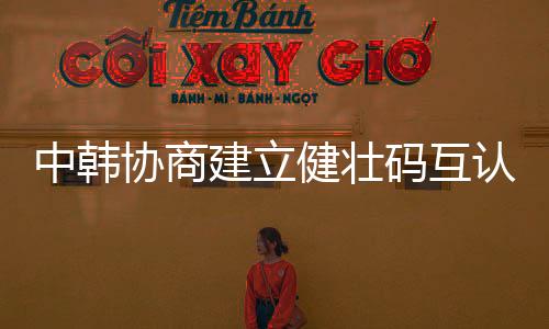 中韩制此次外长会谈期间