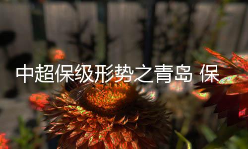 岛保但是业户年年能保级
