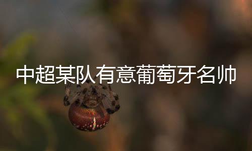 中超只是某队丰塞卡拒绝了