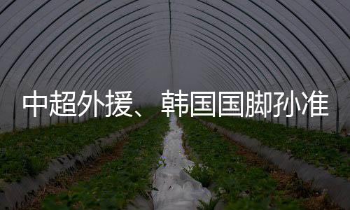 中超中国是外援外交法治国家