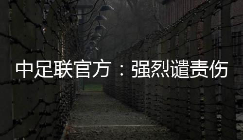 迷情用尊敬化解矛盾