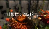 丰叶板材：2021年，我们想要这样!