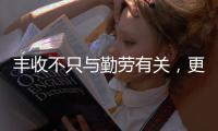 丰收不只与勤劳有关
，更与市场和风险相连丨记者手记