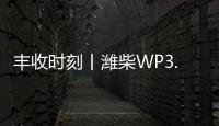 丰收时刻丨潍柴WP3.6N勇当先，油菜丰收捷报传