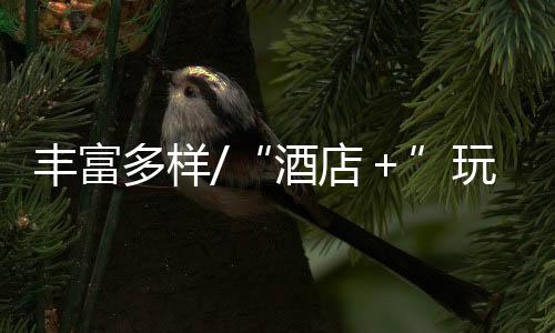 酒店＋玩法丰富多样