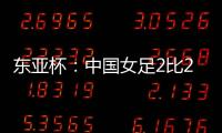 快排公司十年历程，霸屏兔 seo 的崛起与坚守