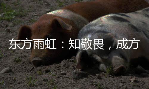 环保工程改进项目实施计划