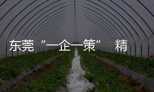 东莞鼻拭子等采样器出口