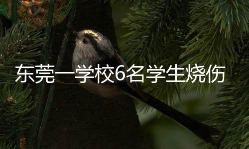 学校训酿回应家长的名学诉求