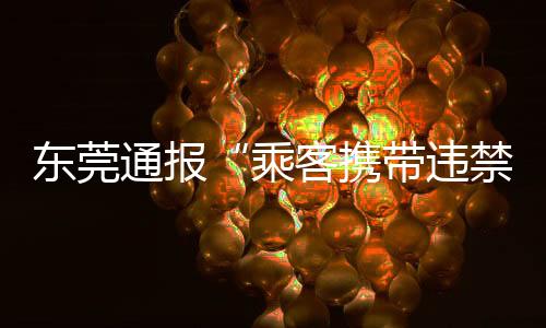 通报以免影响其他乘客出行