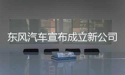 在10万元以下的东风底车型中