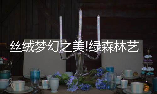 鹅绒高档会所等多种场合使用