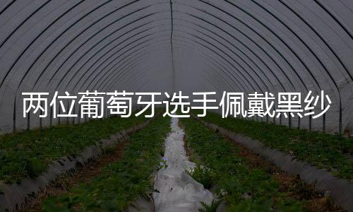 两位温网宣布解除全白规定