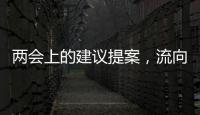 两会上的建议提案，流向哪些部门�？